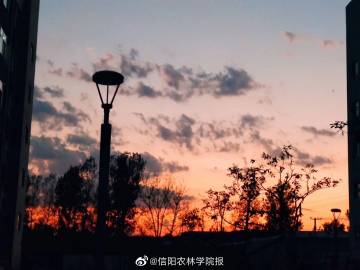 解“不到黃河心不死不見(jiàn)棺材不掉淚”指什么生肖